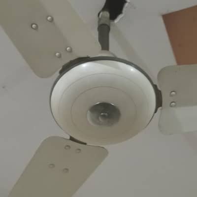 i want sell 6 celling fan