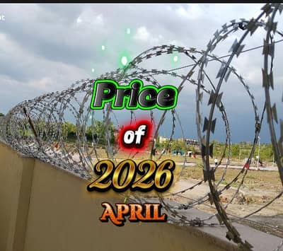 Home Security Concertina Barbed Razor Wire Chainlink Fence Mesh Spikes