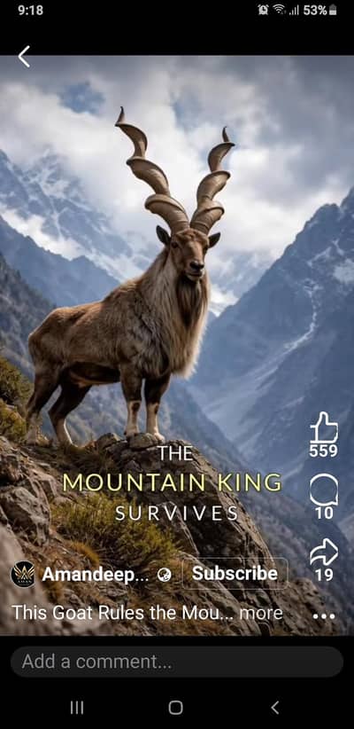 Samsung not 9    (Required. ).  Dar kar hay . purchas karna hay .