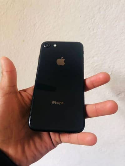 iphone 7 non pta