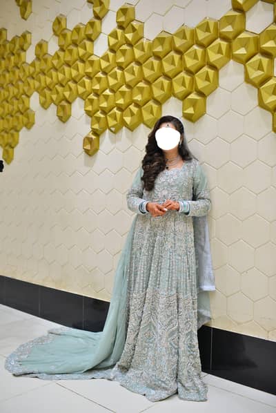 Valima dress/ Reception dress/ Tail maxi