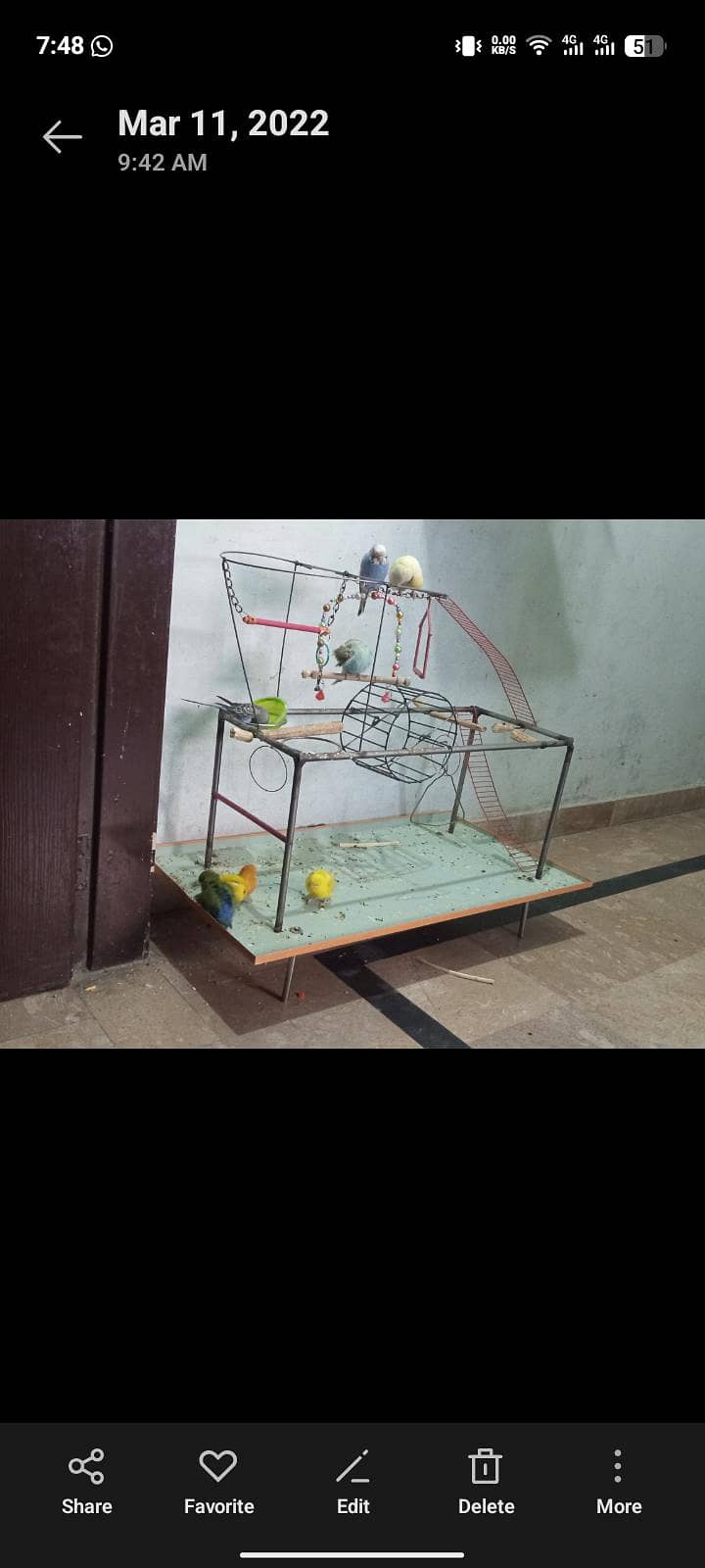 Parrot Stand 1
