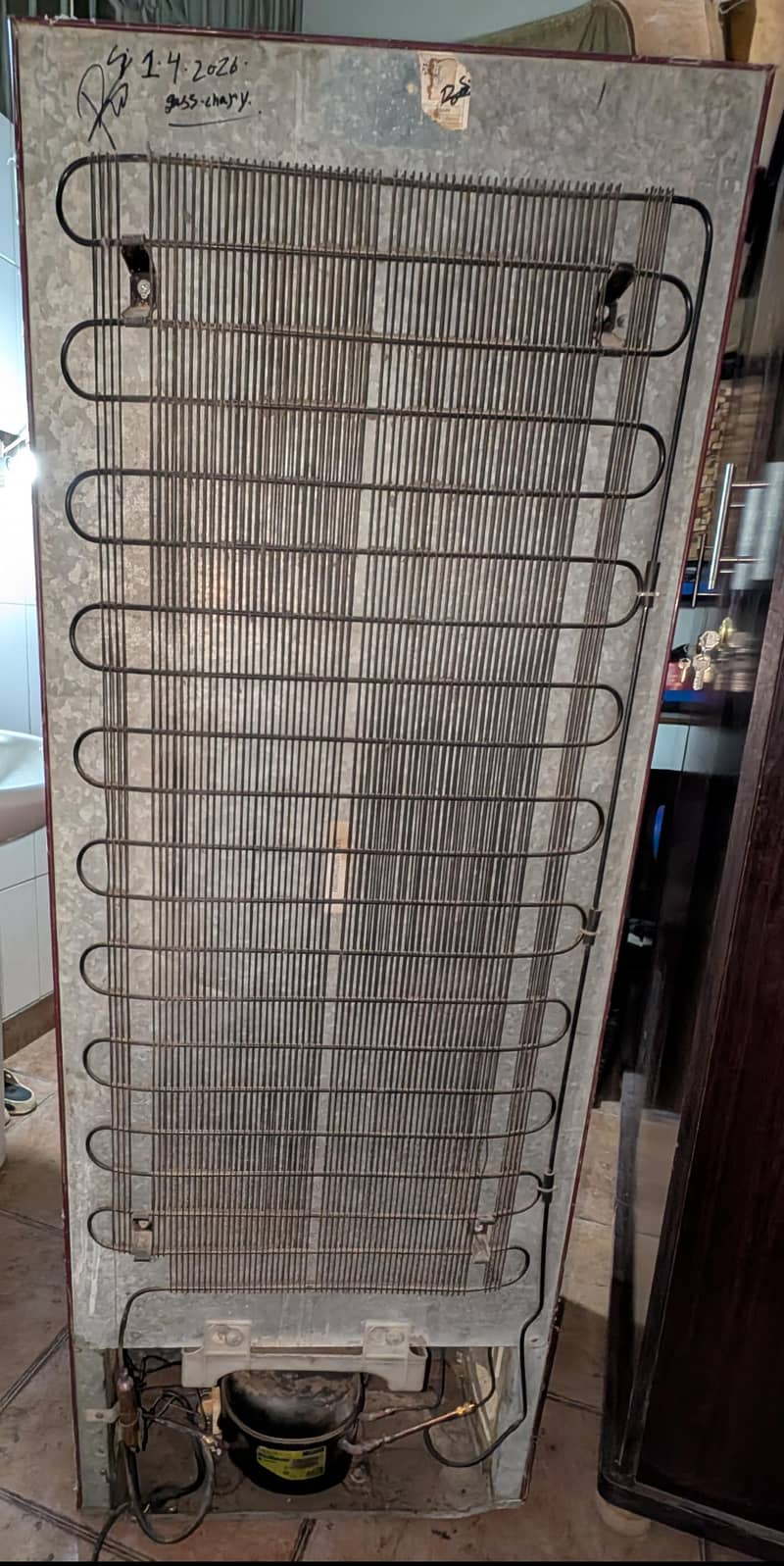 Orient Medium Size 3