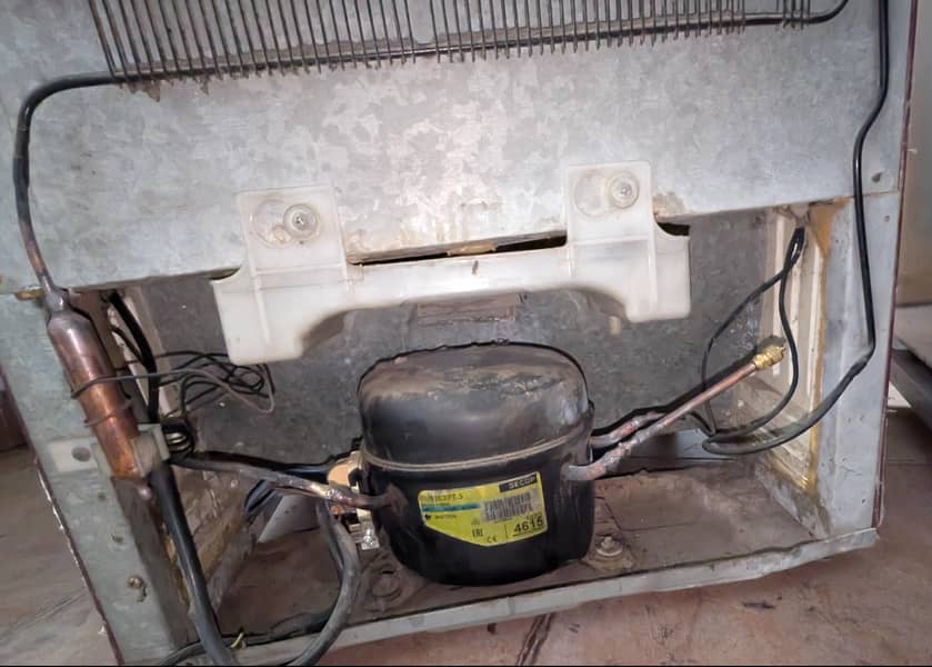 Orient Medium Size 4