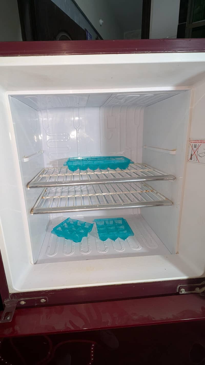 Orient Medium Size 5