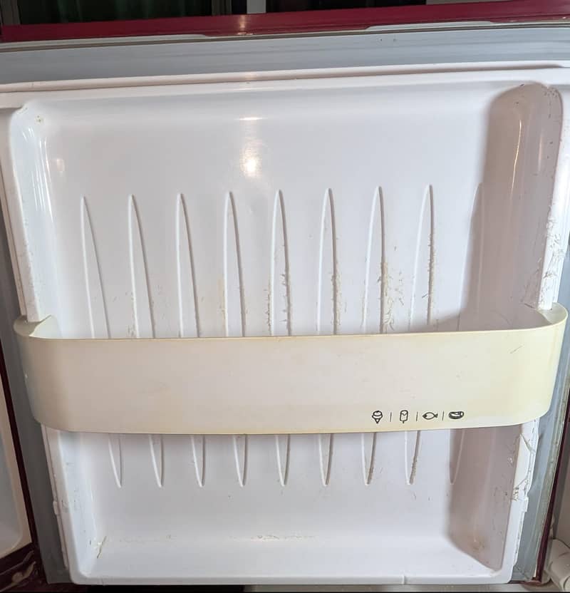 Orient Medium Size 6