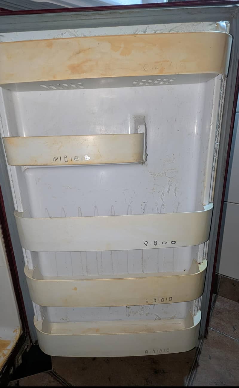 Orient Medium Size 7