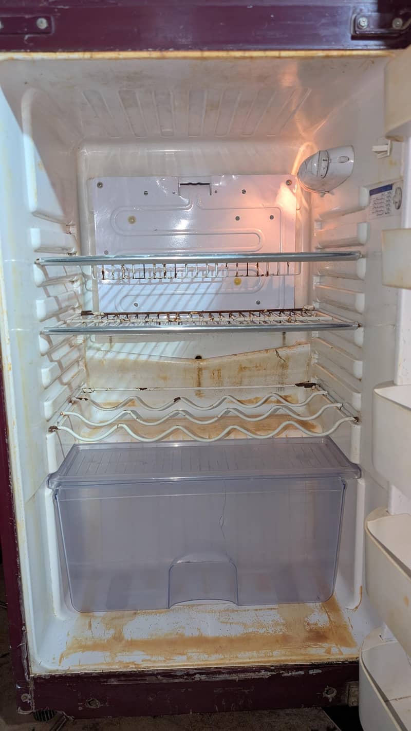 Orient Medium Size 8