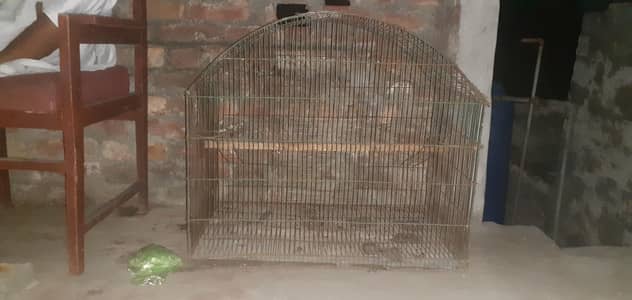 Used big size 3×2 parrots cage ( reasonable price)