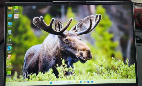 Lenovo Yoga Slim 5 – i5 13th Gen, 16GB RAM, 512GB SSD