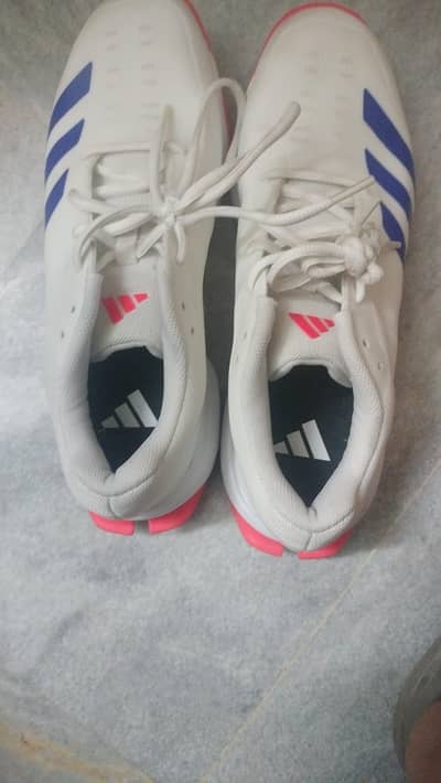 addidas spikes shoes