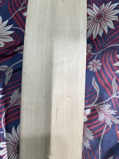 HS ENGLISH WILLOW BAT