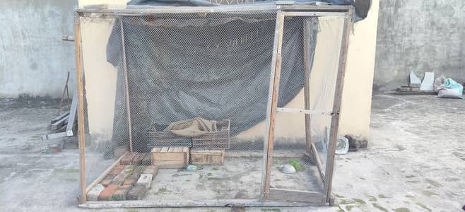 Hen and pigeon Cage