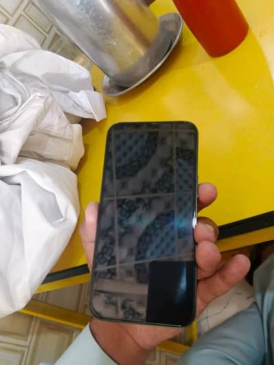 I phone 13 non pta JV 256GB alpine green 0/310/71/9/9/4/70