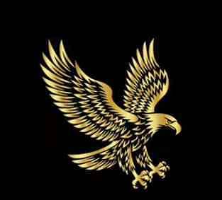 mian Amjad brand on top