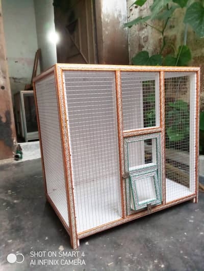 birds cage 2ft by 2ft 03112024235
