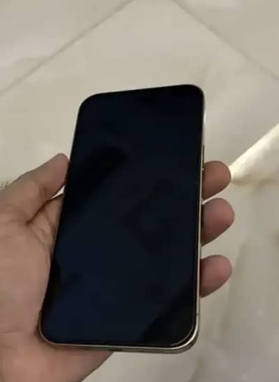 iphone 12 pro max pta proved golden colour