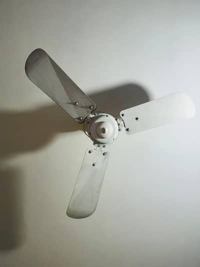 Antique Fan (Muhammad Din)