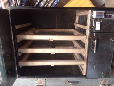 350 eggs semi auto incubator