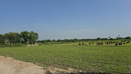 100 Acre Agriculture Land For Sale