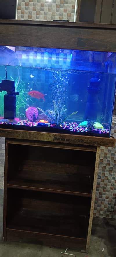 Fish aquarium with wood stand  for sale