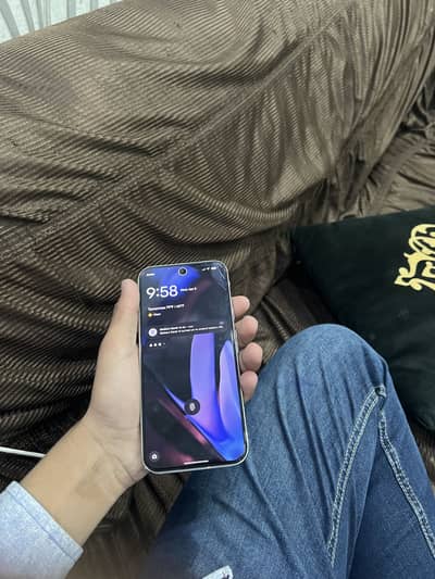 Official Pata 10 by 10 no chacraches sheet installed