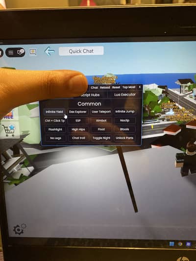 Roblox H*acks