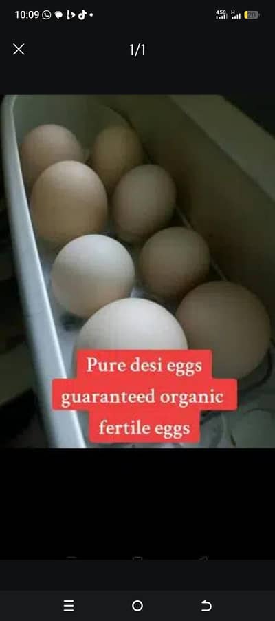 Desi Eggs For Sale