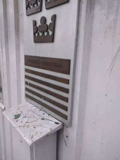 Looking for CSR for B2B lead generation.