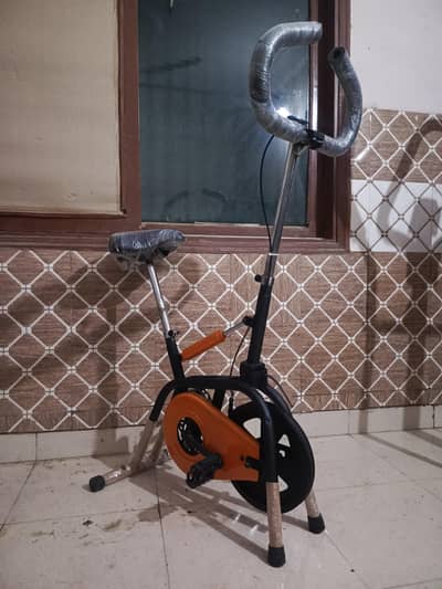 Exercise Cycle / Exercise Bike (2-in-1)