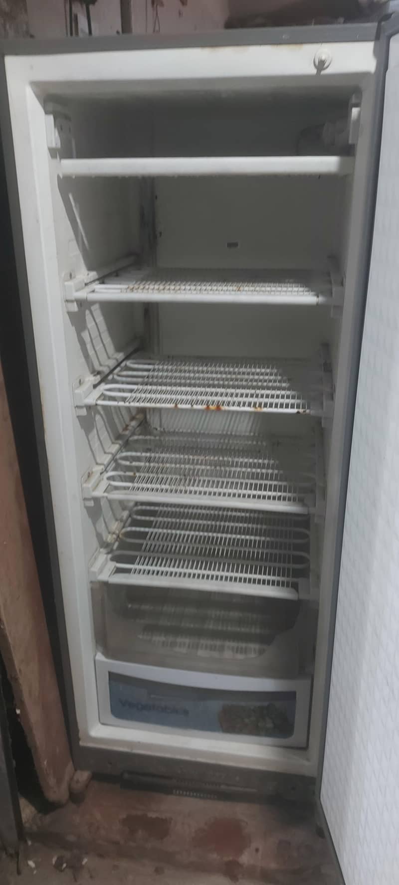 Vertical Deep Freezer 1