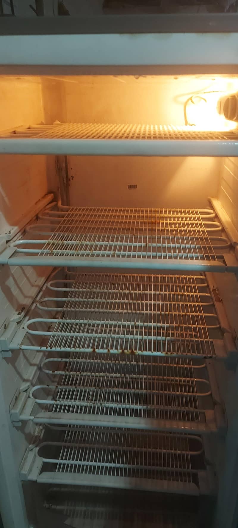 Vertical Deep Freezer 2