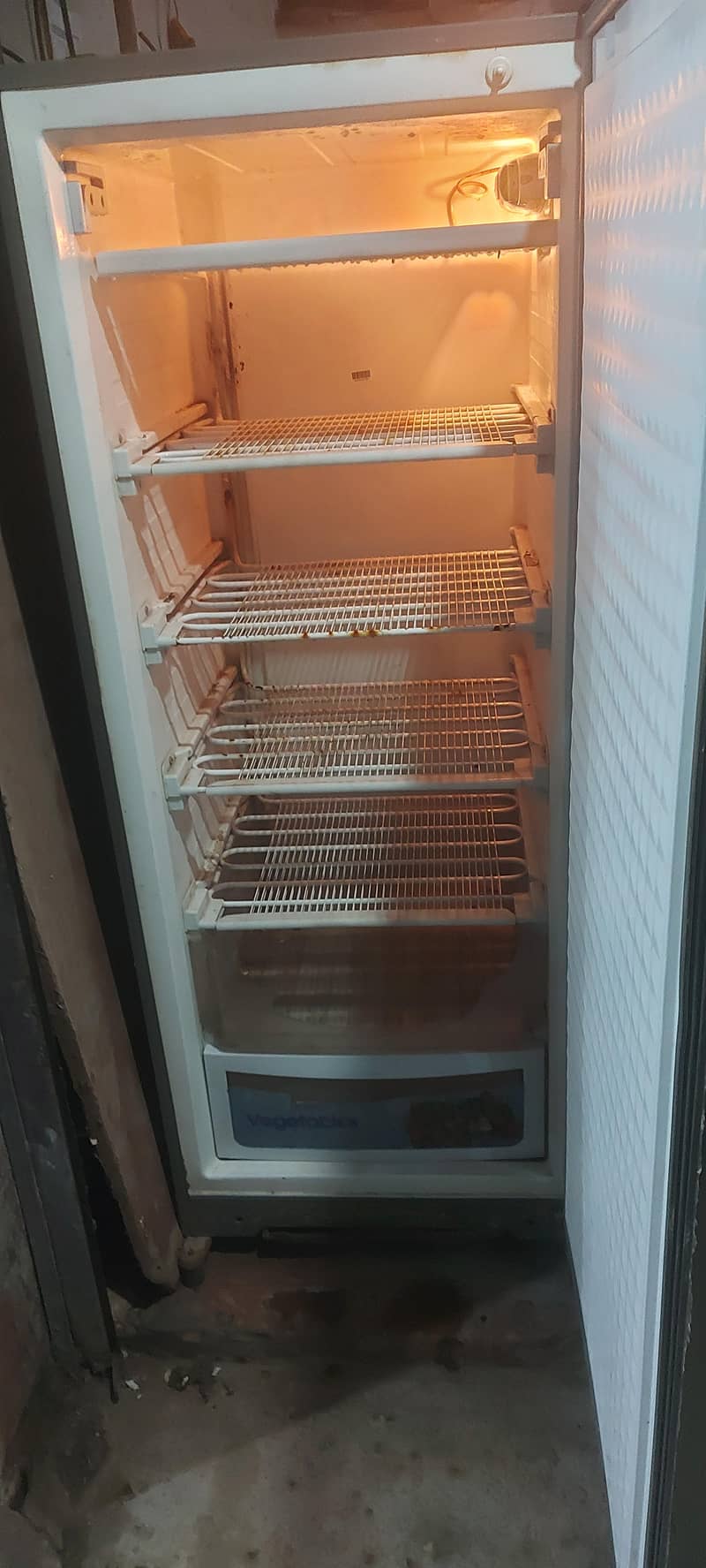 Vertical Deep Freezer 3