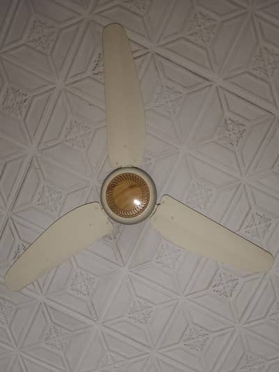 Celling Fan