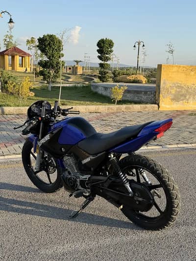 YAMAHA YBR 125 for sale