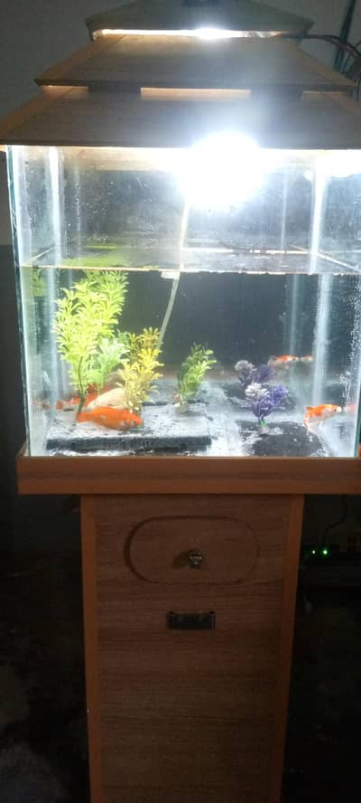 Fish Aquarium For Sale