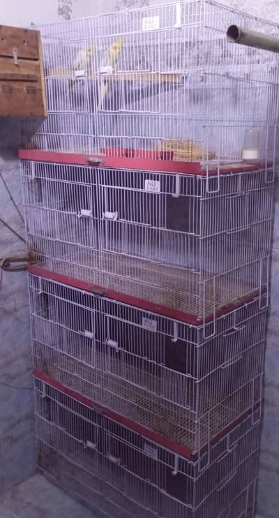 iron foldable cage/ pinjra