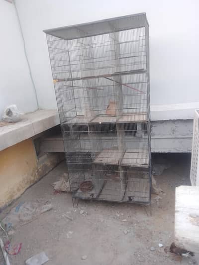 bird cages in