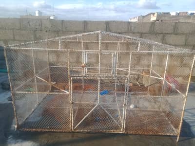 cage hen cage parrot cage