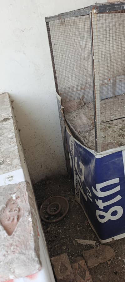 2portion pinjara argent sale