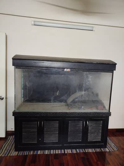 5ft Aquarium