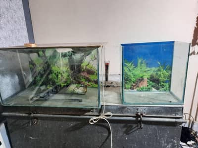 2 Fish Aquariums with Accessories for urgent Sale.