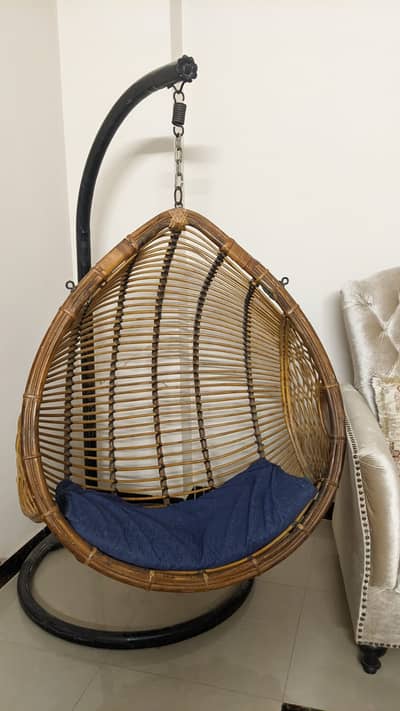Cozy Nest Swing Chair