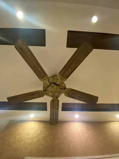 5 Set of fans 5 wings