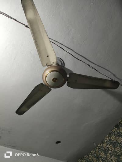 G. F. C Fan 100% original