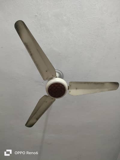 G. f. c fan 100% original