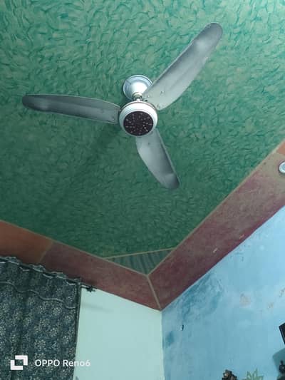 G. f. c original fan