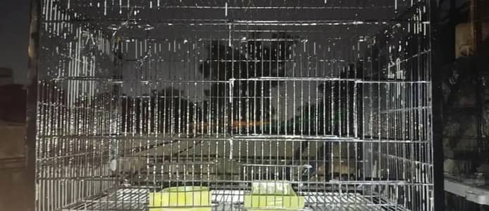 A full size birds Cage