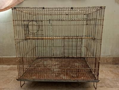 2 Birds cage