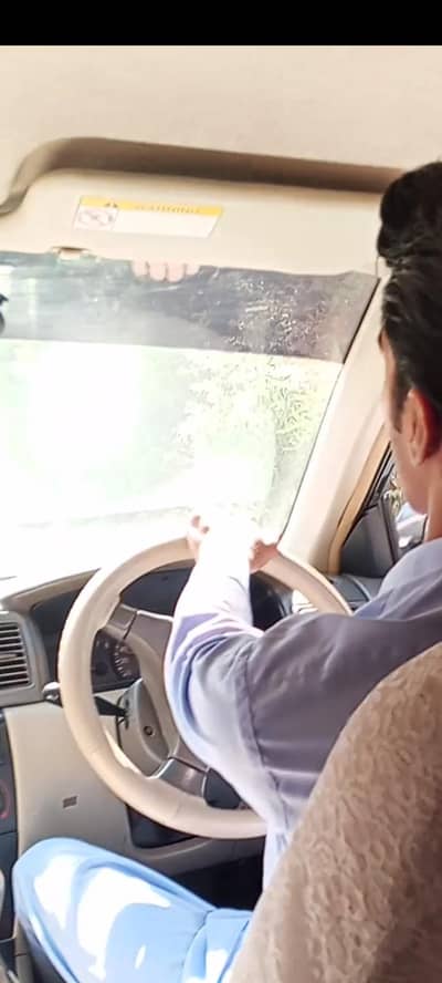 need home driving job